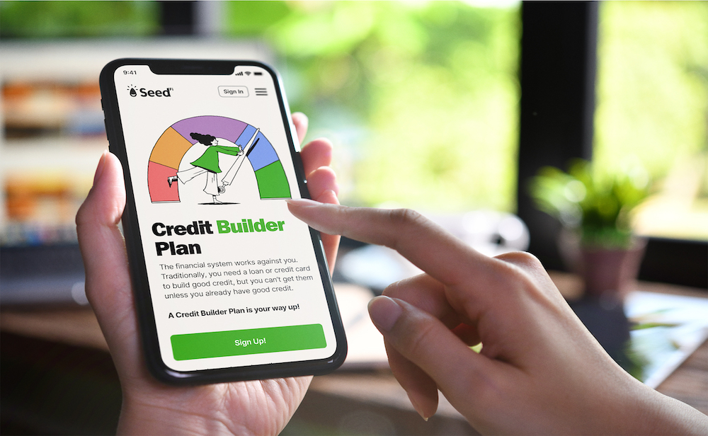 Seedfi Pr 4